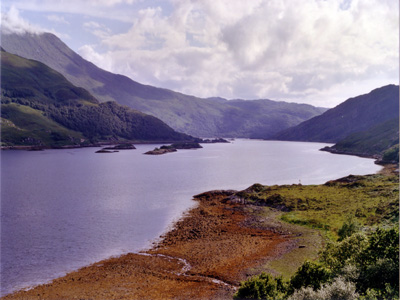 loch_algue