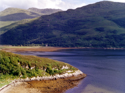 loch algue