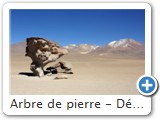Arbre de pierre - Désert de Dali dans le Sud Lipez