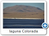laguna Colorada