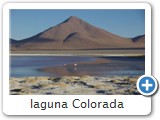 laguna Colorada