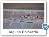 laguna Colorada