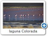 laguna Colorada