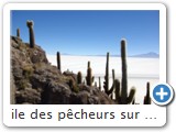 ile des pêcheurs sur le Salar d'Uyuni