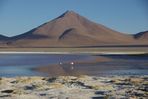 laguna Colorada - photo Catherine Bolmont