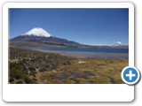 volcan Parinacota et lac Chungara