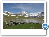 lac du Plan du Lac - Randonnée des 4 lacs - Vanoise