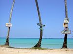 Plage de Las Terrenas - Rpublique Dominicaine