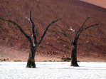 Dead Vlei - Namibie