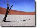 Dead Vlei - Dersert du Namib - Namibie