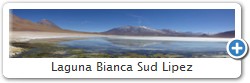 Laguna Bianca Sud Lipez