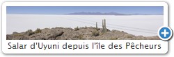 Salar d'Uyuni depuis l'le des Pcheurs