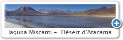 laguna Miscanti -  D�sert d'Atacama