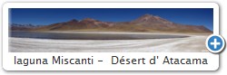 laguna Miscanti -  D�sert d' Atacama