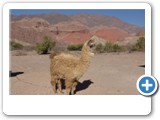 quebrada_las_conchas_06