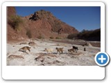 quebrada_las_conchas_38