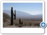salta_cachi_05