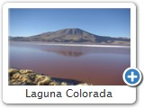 Laguna Colorada