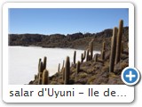 salar d'Uyuni - Ile des pêcheurs