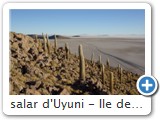 salar d'Uyuni - Ile des pêcheurs