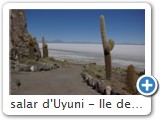 salar d'Uyuni - Ile des pêcheurs