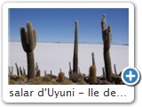 salar d'Uyuni - Ile des pêcheurs