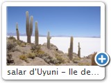 salar d'Uyuni - Ile des pêcheurs