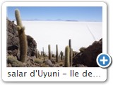 salar d'Uyuni - Ile des pêcheurs