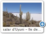 salar d'Uyuni - Ile des pêcheurs