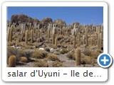 salar d'Uyuni - Ile des pêcheurs